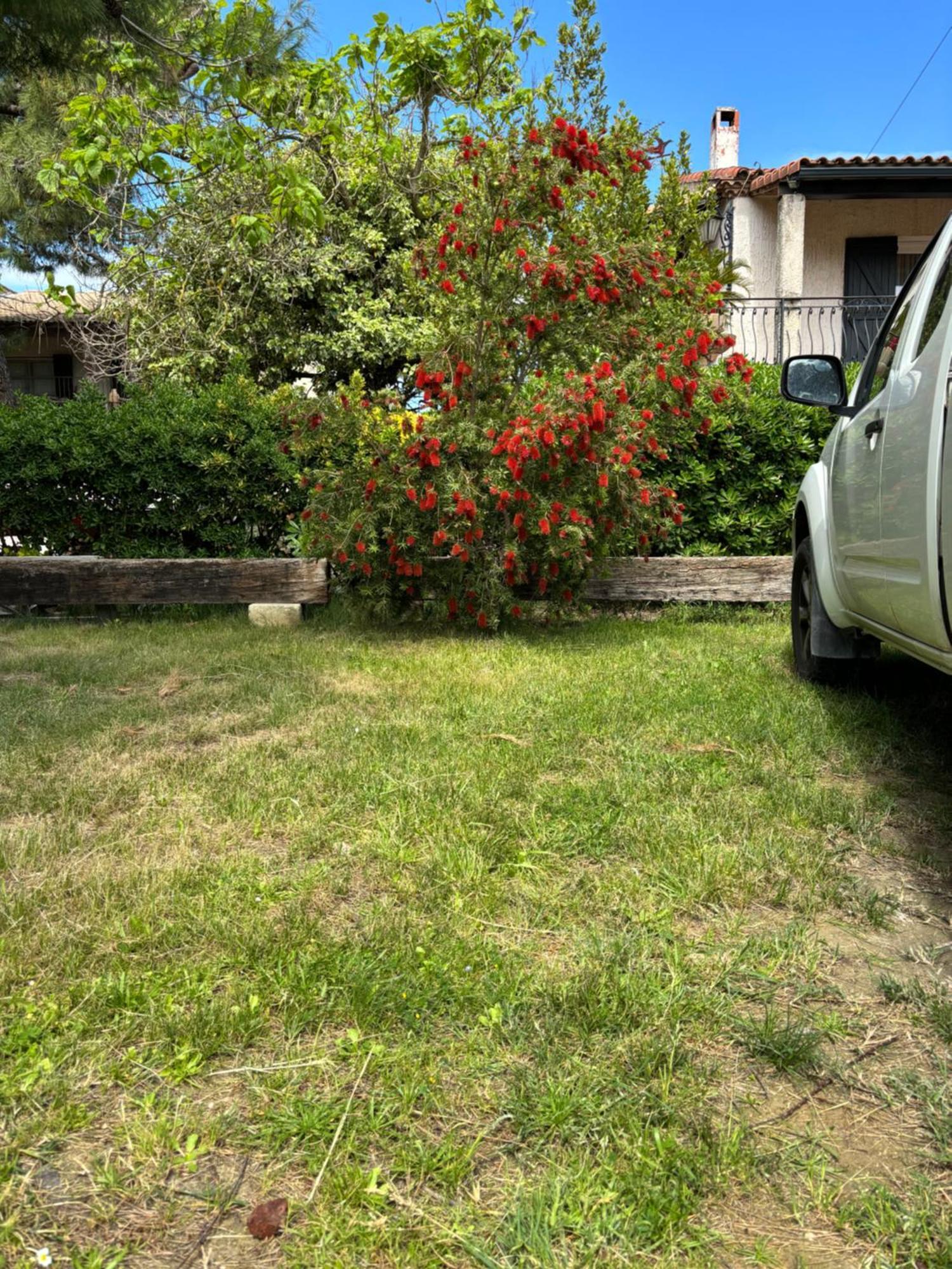 Apartamento Les Flo Location Aigues-Mortes Exterior foto